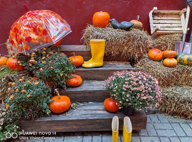 Huawei nova 14: стильный смартфон с приятными камерами Huawei nova 14: стильный смартфон с приятными камерами