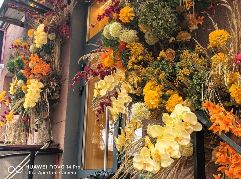 Обзор смартфона Huawei nova 14 Pro: стильный дизайн и камера флагманского уровня