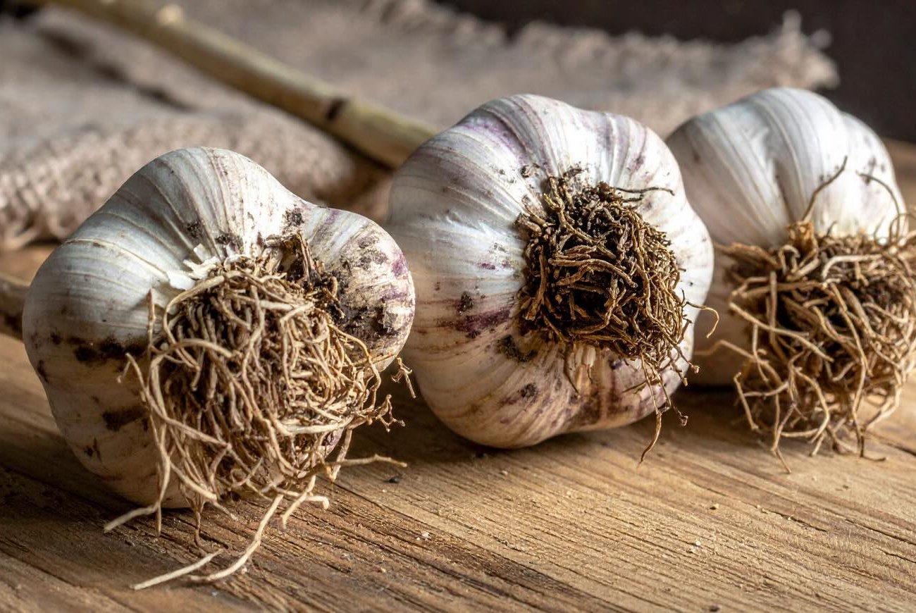 Как сохранить чеснок до весны свежим: этот способ хранения защитит плесени