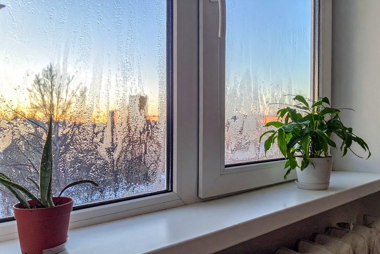 Окна будут сухими и чистыми всю зиму: методы борьбы с конденсатом