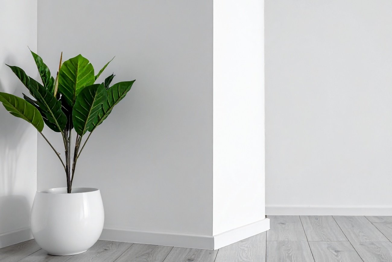 Стены будут как после ремонта: запомните быстрый способ очистки без вызова клининга