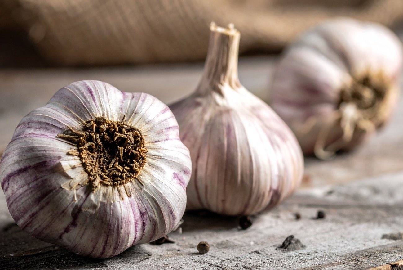Чеснок остается свежим до самой весны: простой способ для длительного хранения