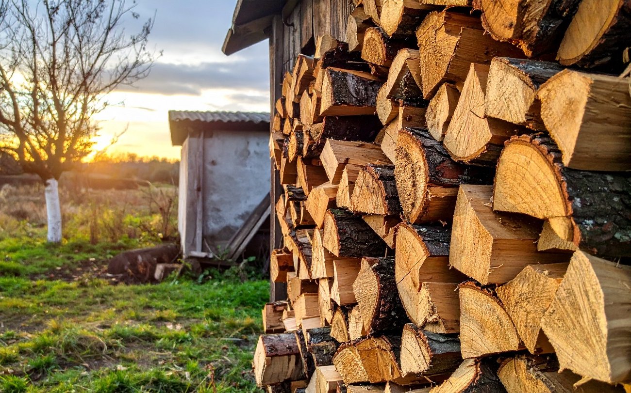 Не ждите полгода, пока дрова высохнут: проверенные способы ускорить процесс сушки в разы