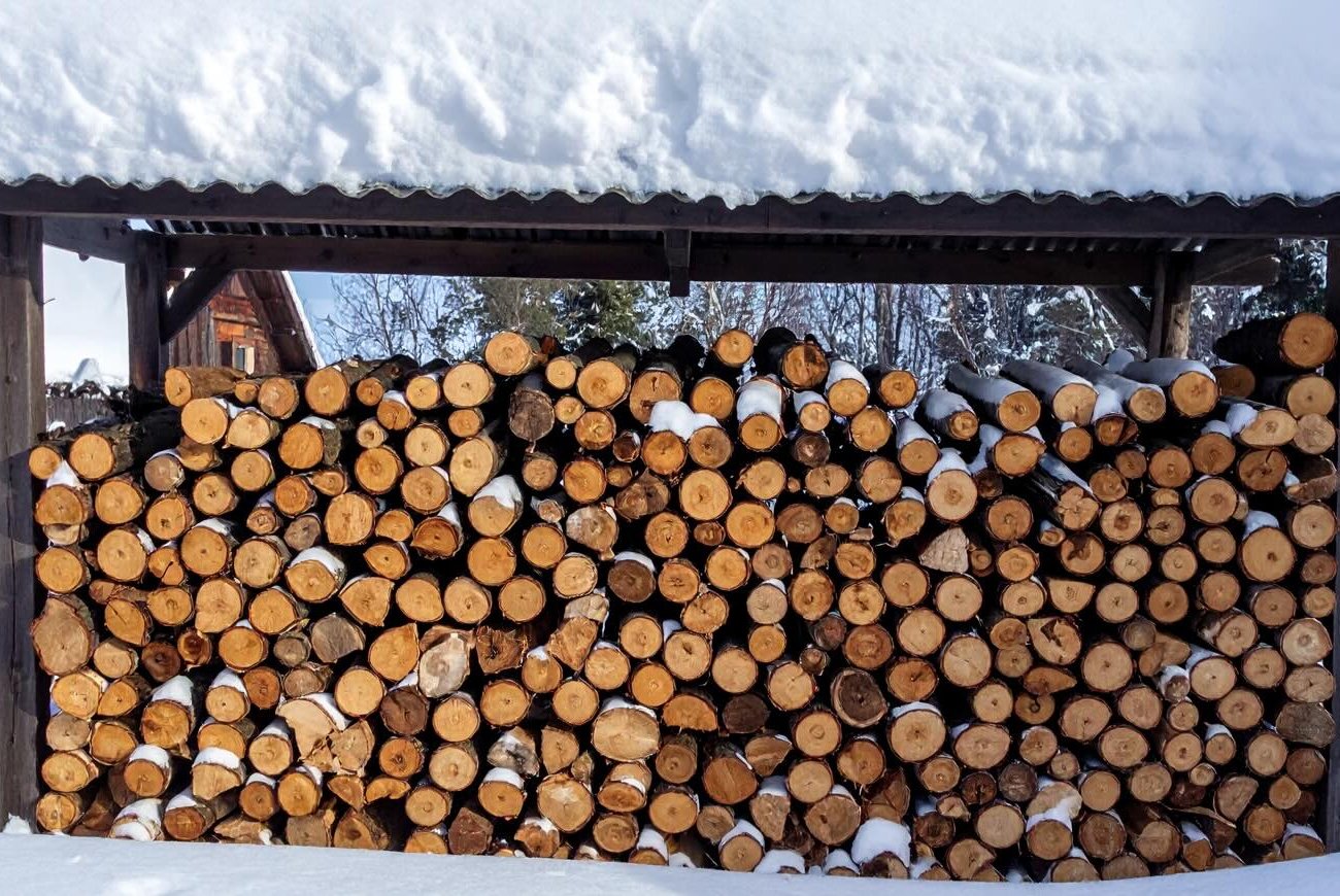 Дрова будут сухими всю зиму: запомните 6 проверенных способов хранения на даче