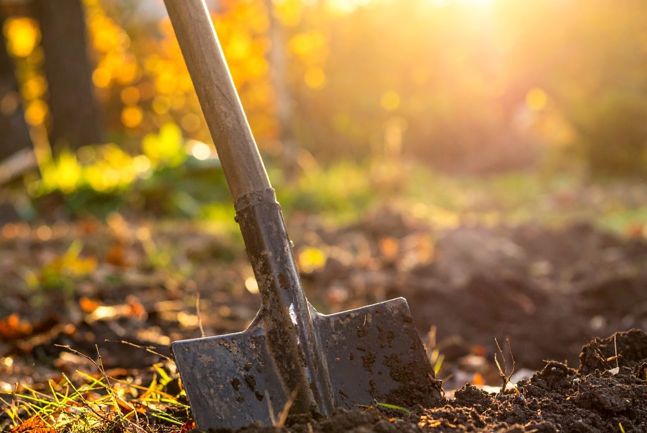 Черенок лопаты станет как шелк: простые способы защитить руки от мозолей в огороде