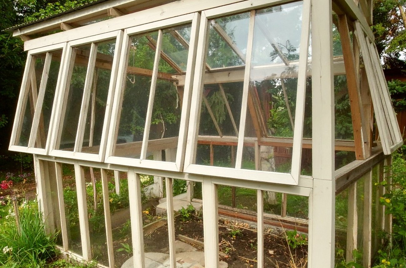 Из чего сделать теплицу вместо поликарбоната без затрат: старые ненужные материалы дают отличный результат