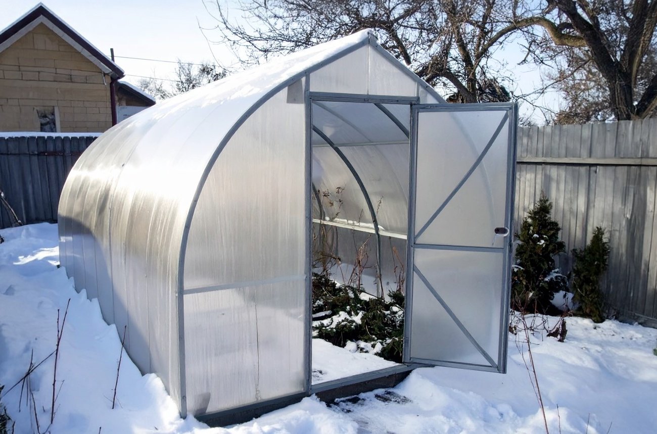 Что можно посадить в теплице зимой: простой метод выращивания, который ускоряет урожай в 3 раза