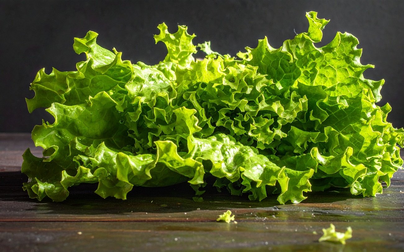 Листья салата снова станут упругими и сочными: хитрость опытных хозяек для восстановления свежести