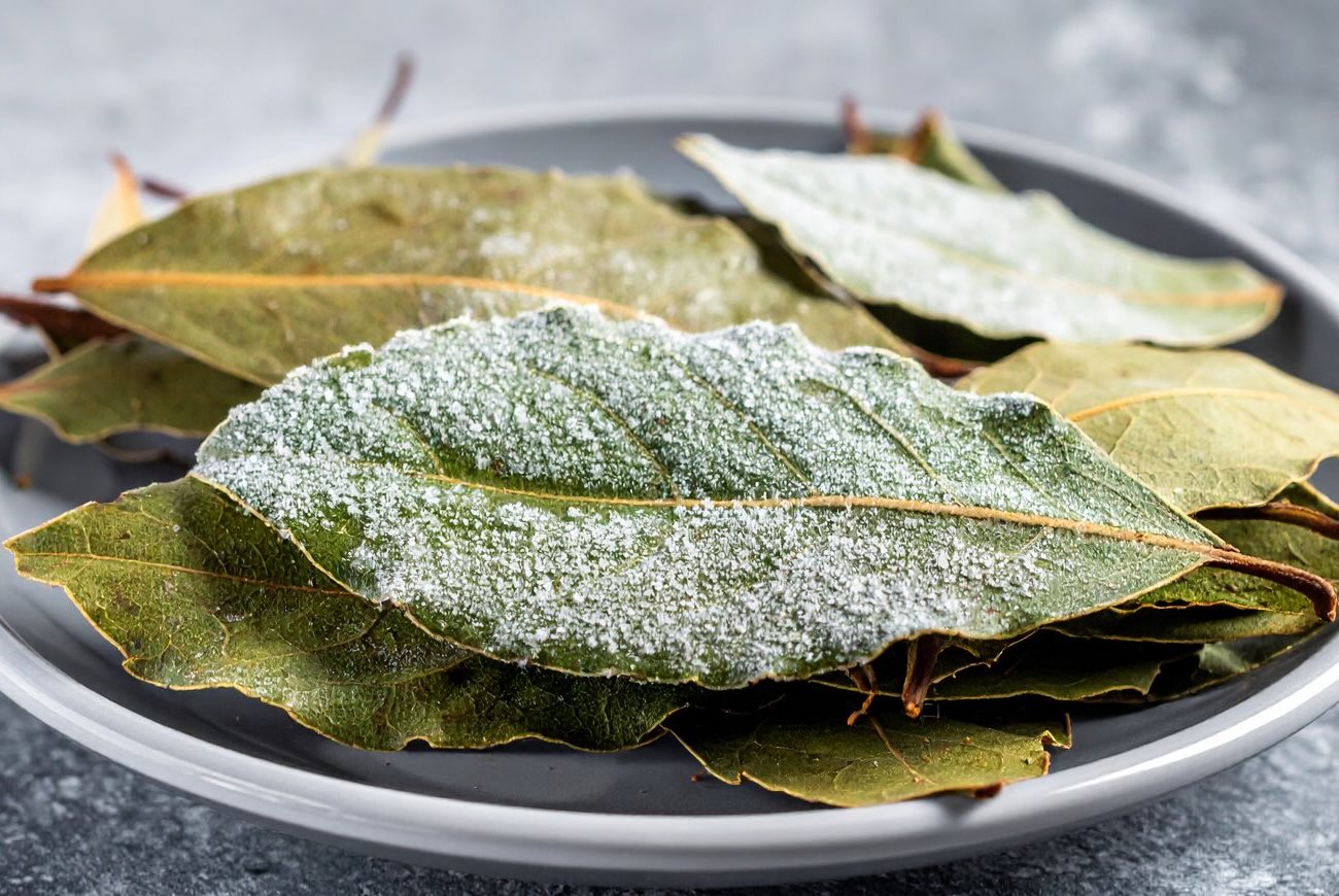 Аромат блюд усилится в несколько раз: необычная хитрость с замораживанием лаврового листа