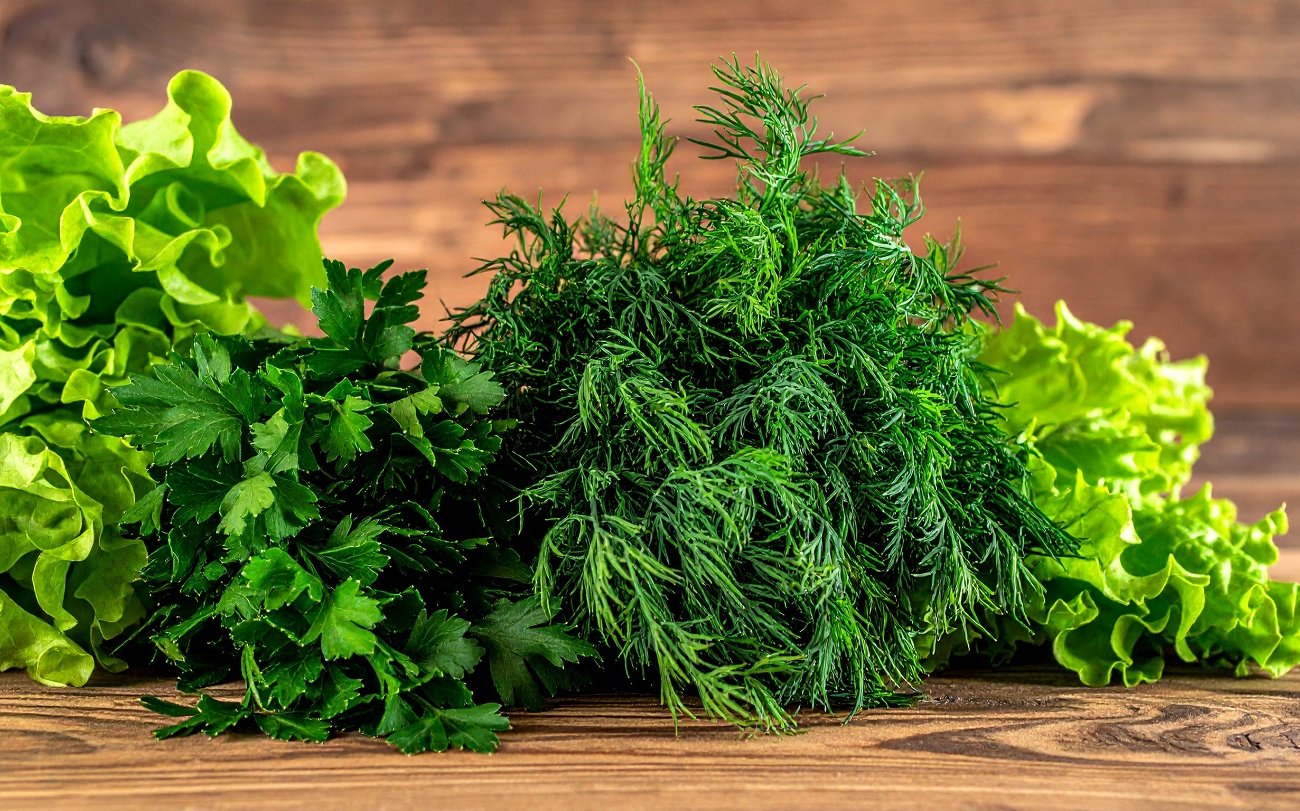 Зелень будет идеально чистой без микробов: безопасная обработка продукта