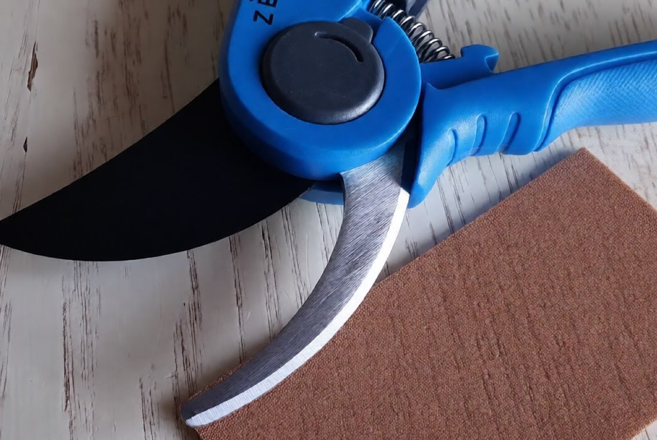 Садовый секатор снова острый как бритва: быстрый метод заточки без специальных инструментов