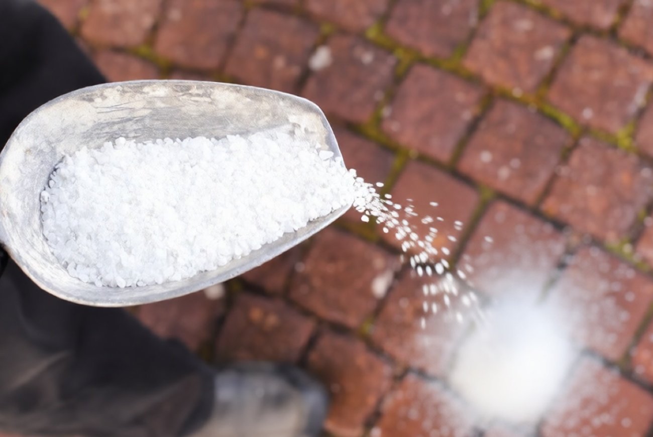 Соль на дорожках погубит ваш сад: запомните безопасные способы борьбы с наледью