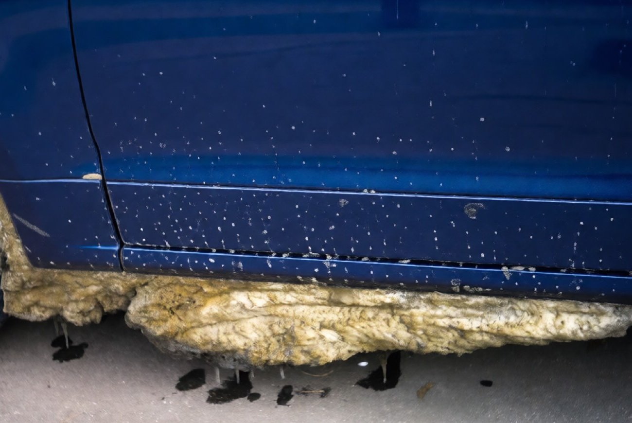 Как защитить автомобиль от дорожной соли без дорогих средств: проверенный способ автолюбителей