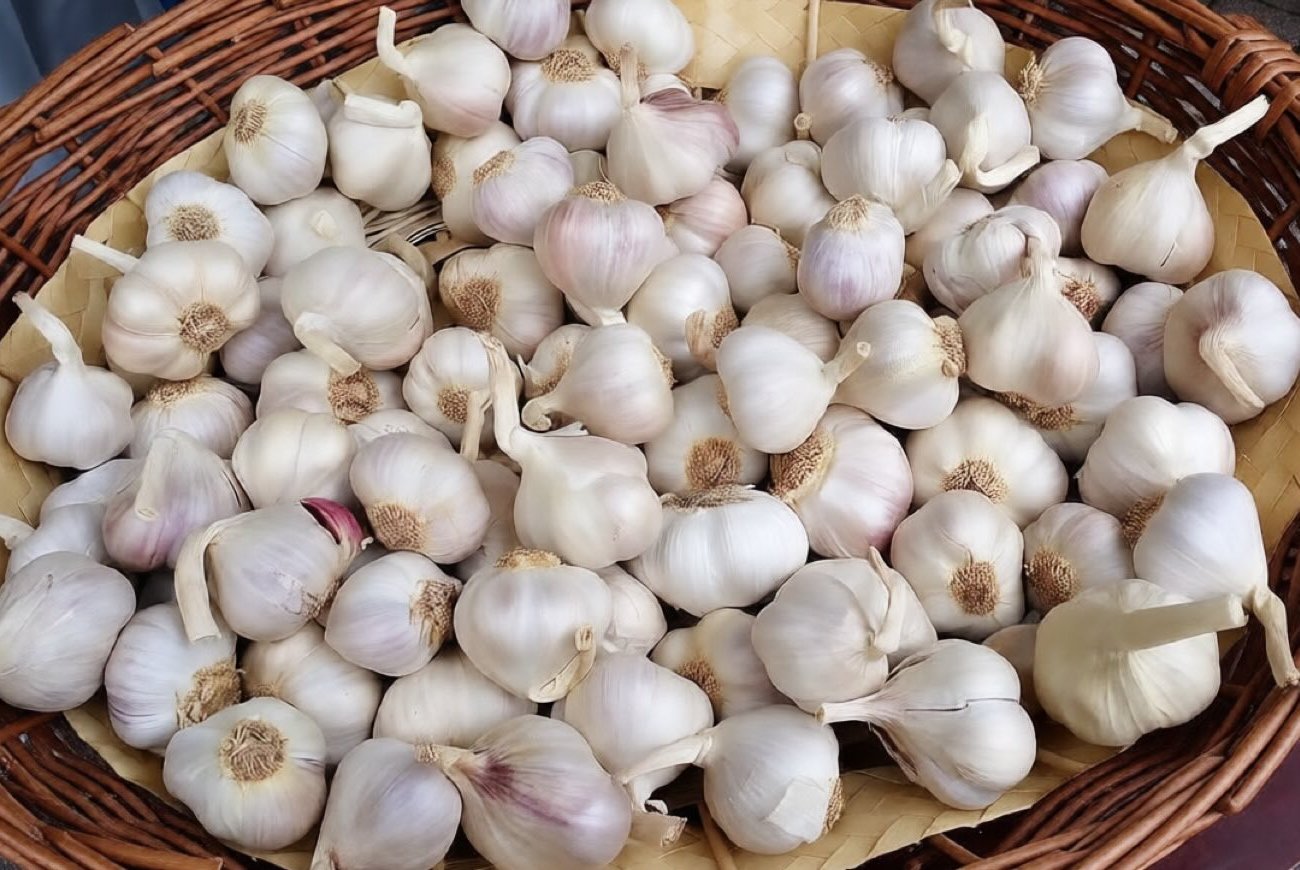 Как отличить зимний чеснок от летнего: 4 простых признака для тех, кто путается