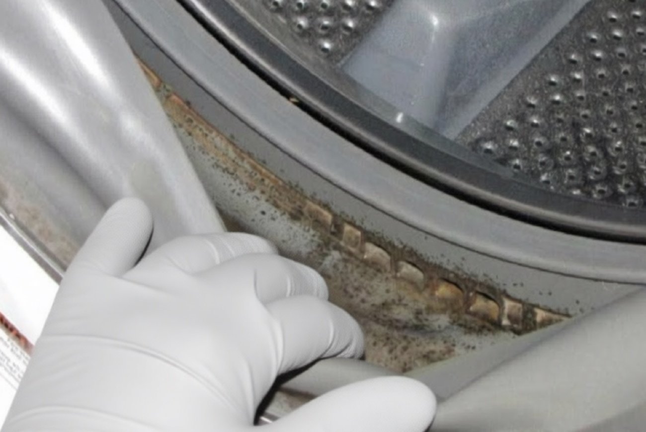 Как отбелить резиновую манжету стиральной машины: простой способ без агрессивной химии