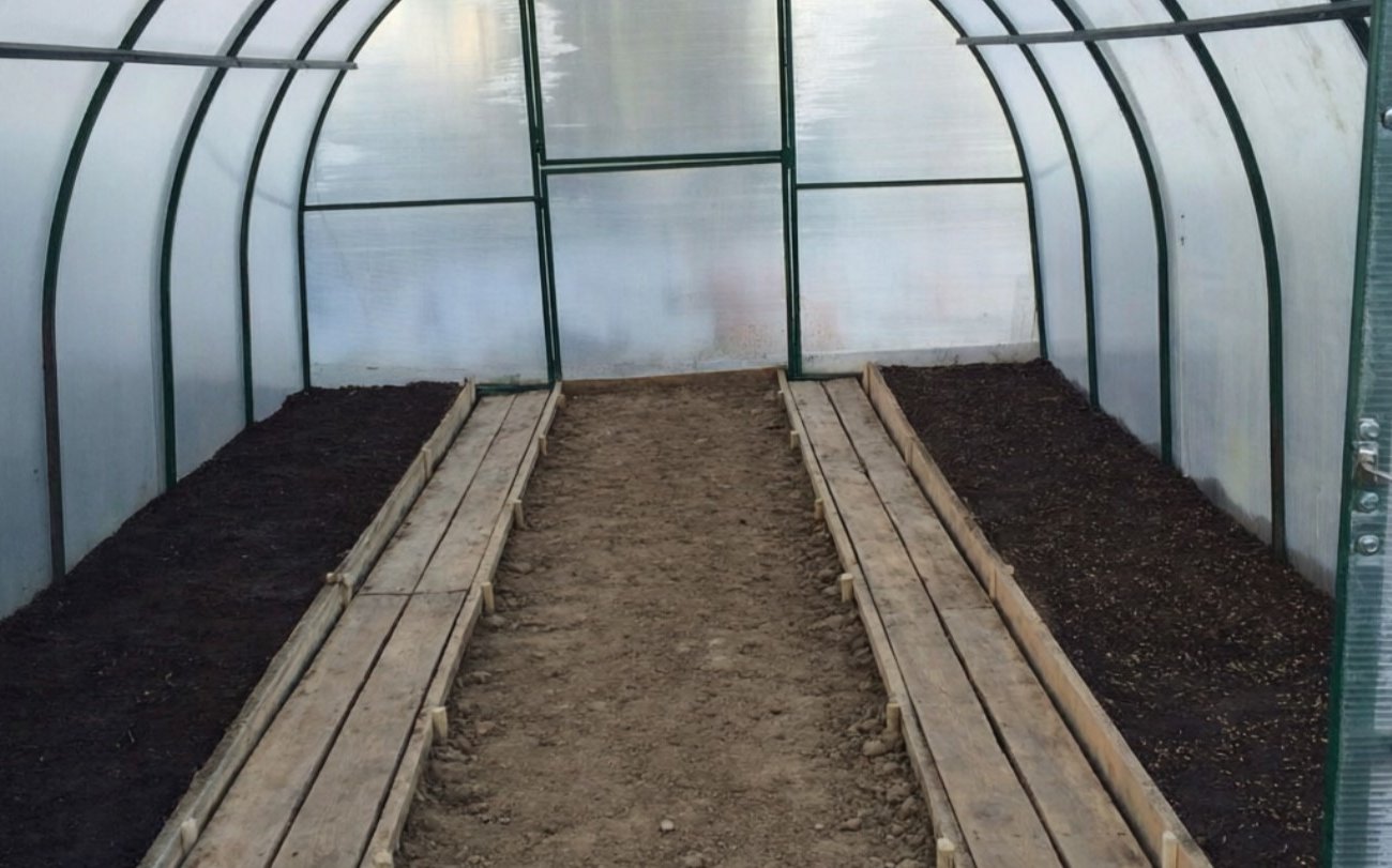 Как спасти теплицу от позеленения почвы: проверенный способ без лишних затрат и ошибок