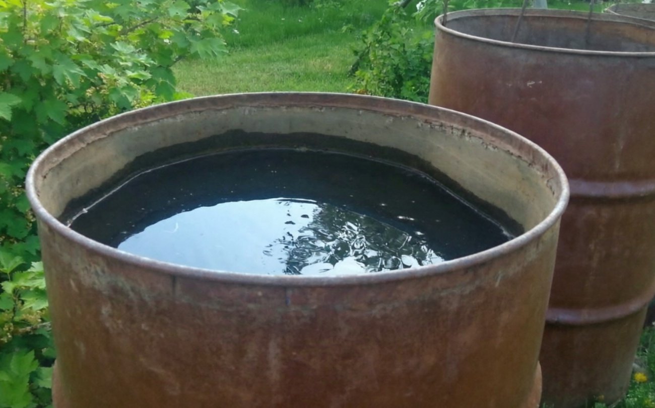 Вода не зацветет и не протухнет: запомните правила выбора бочки для дачи