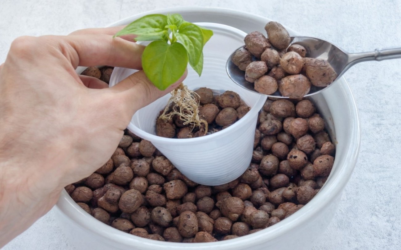 Как сделать правильный дренаж без керамзита: бюджетный способ от опытных цветоводов