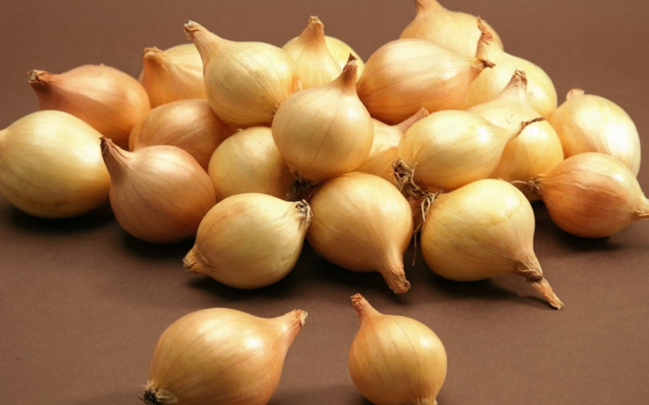 Почему лук-севок нужно прогревать перед посадкой: простая процедура спасет весь урожай