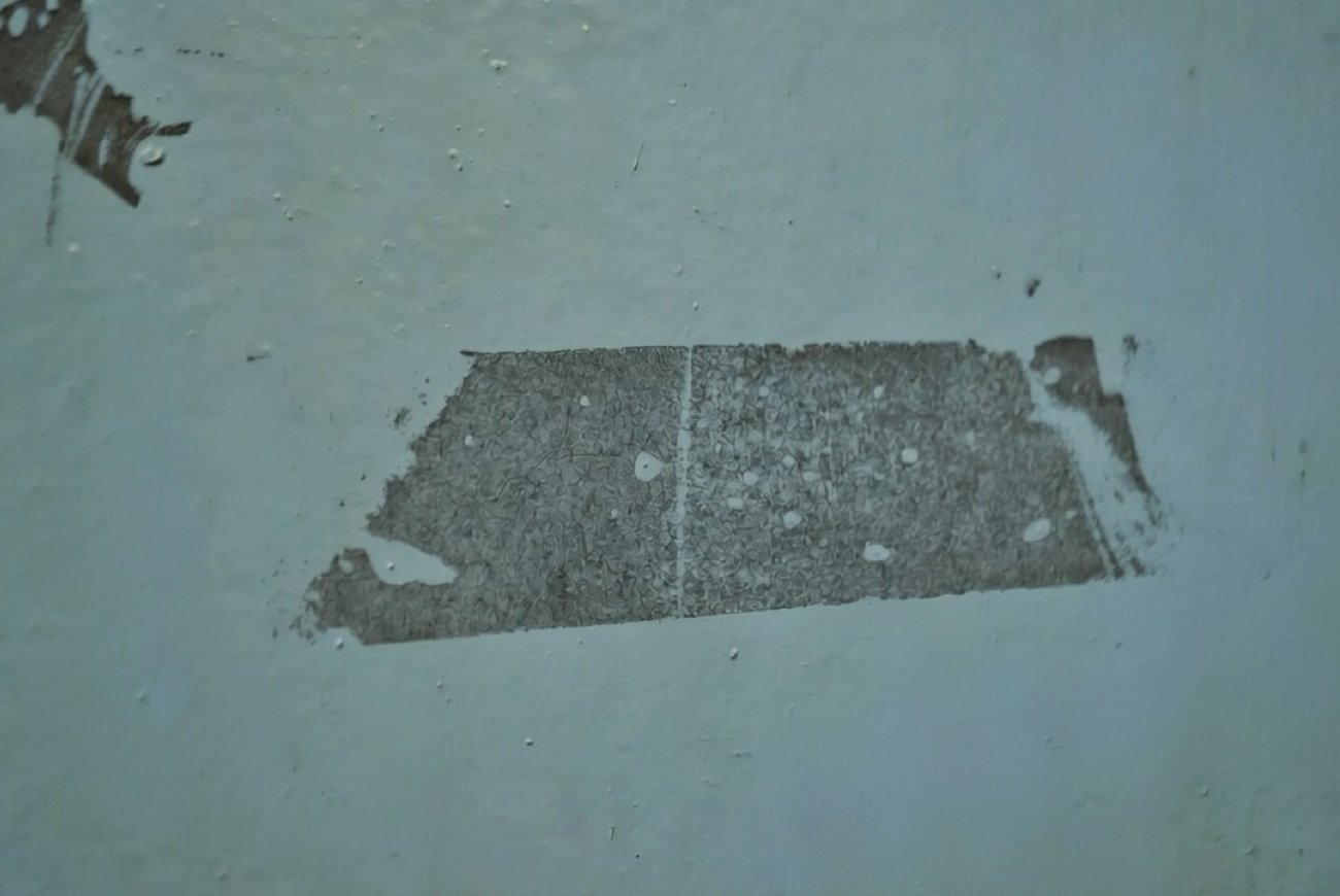 Следы от скотча исчезнут без следа: рабочие методы очистки поверхностей