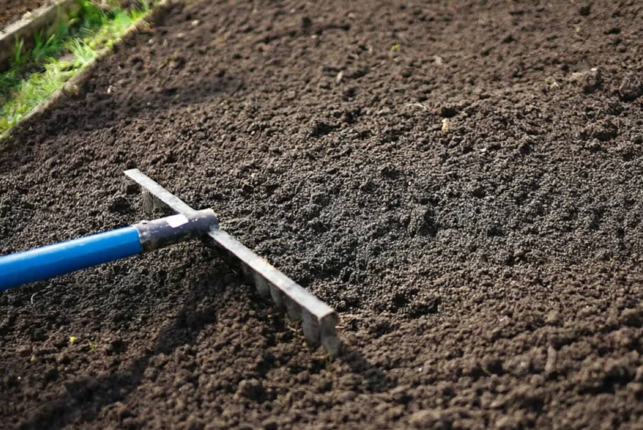 Агроном объяснил, как понять, что земля отдохнула и готова к посадкам: простые признаки, которые видны невооружённым глазом