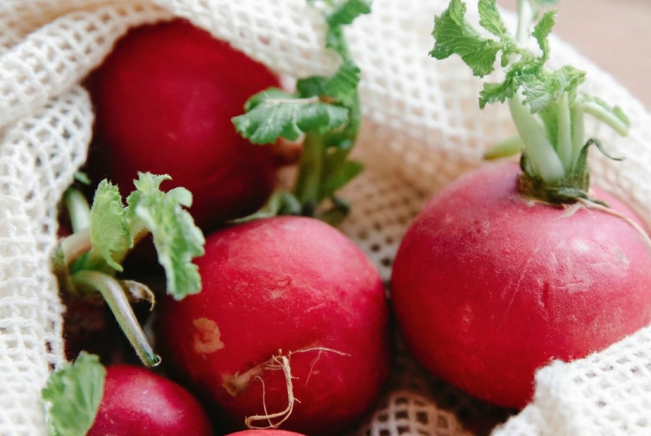 Бросаю лед в лунку с редисом и не нарадуюсь урожаю: быстрая хитрость для сочных корнеплодов