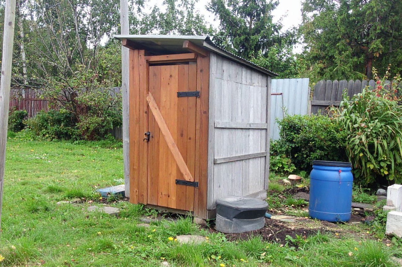 В дачном туалете установится приятный аромат: простое средство устранит запахи и отпугнет мух