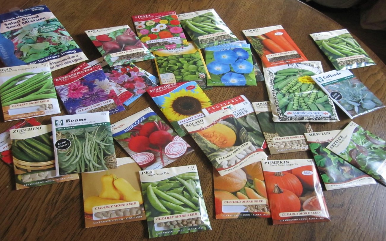 Как не купить поддельные семена и не потерять урожай: правила, которые должен знать каждый дачник