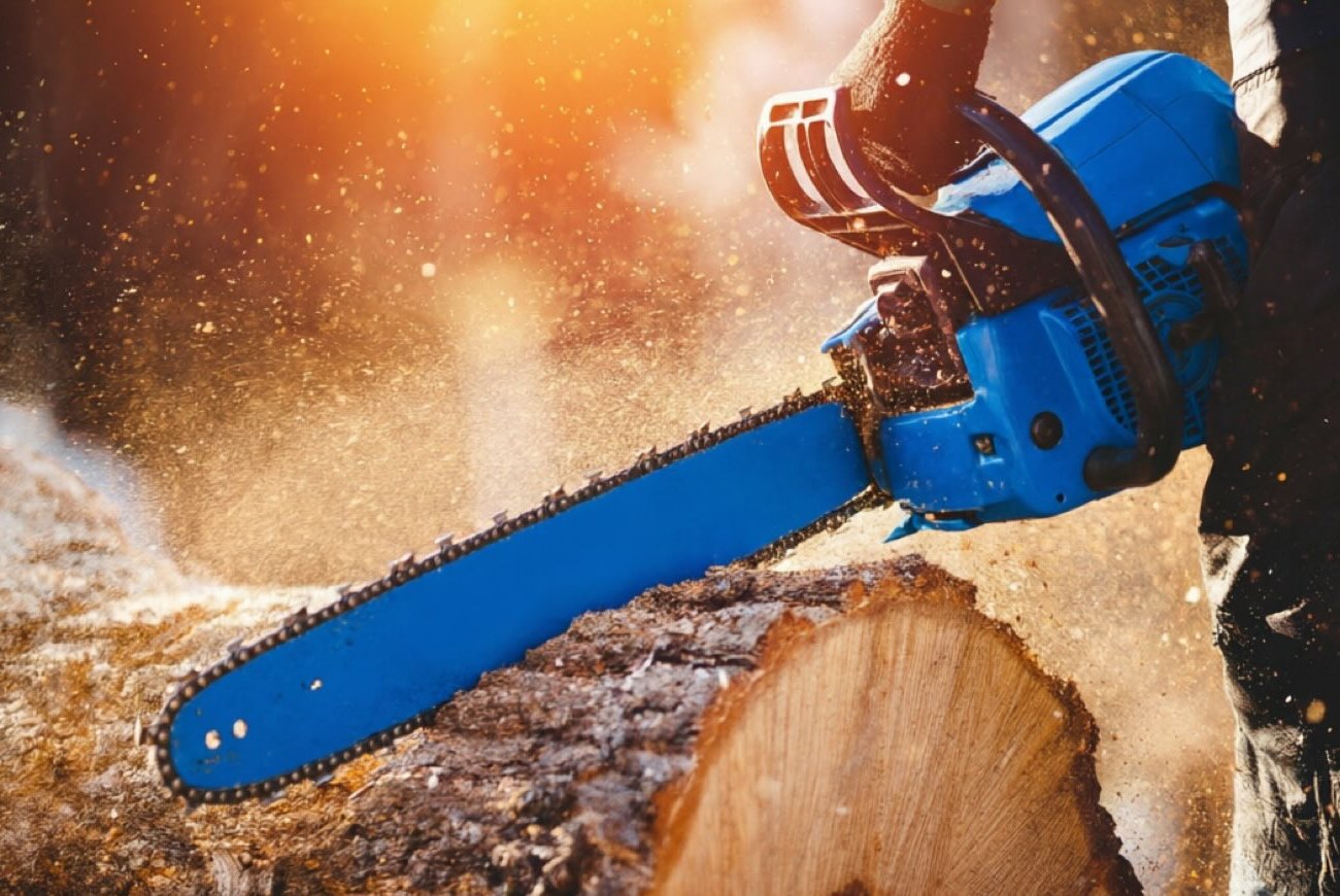Как не угробить бензопилу и себя: главные правила работы с инструментом