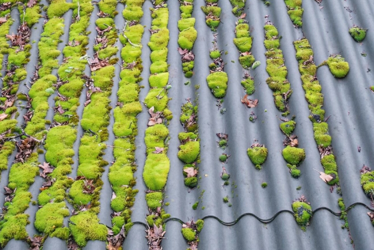 Как очистить крышу от мха без риска: простой и безопасный способ очистки