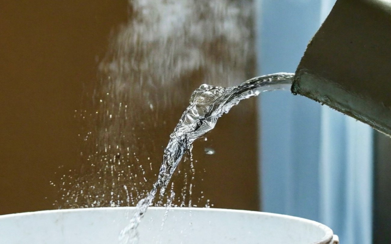 Одуванчики исчезли с участка за 2 недели без соли и кипятка: запомните простой способ борьбы с сорняком