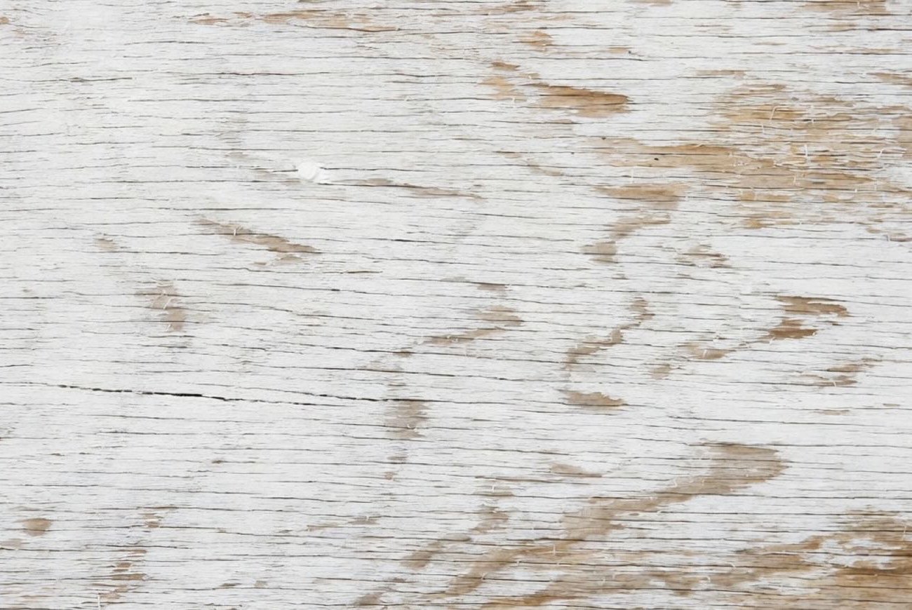 Как покрасить деревянные стены и не закрасить красоту древесины: простой способ без потери текстуры