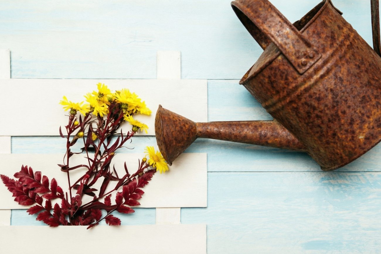 Как превратить садовый хлам в роскошный декор: старые предметы станут украшением вашей дачи