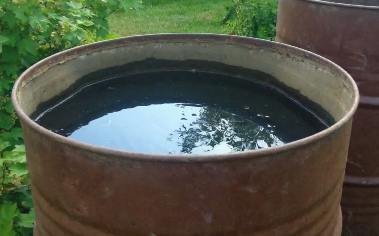 Вода в бочке больше не зеленеет и не цветёт: лайфхак для длительного хранения жидкости