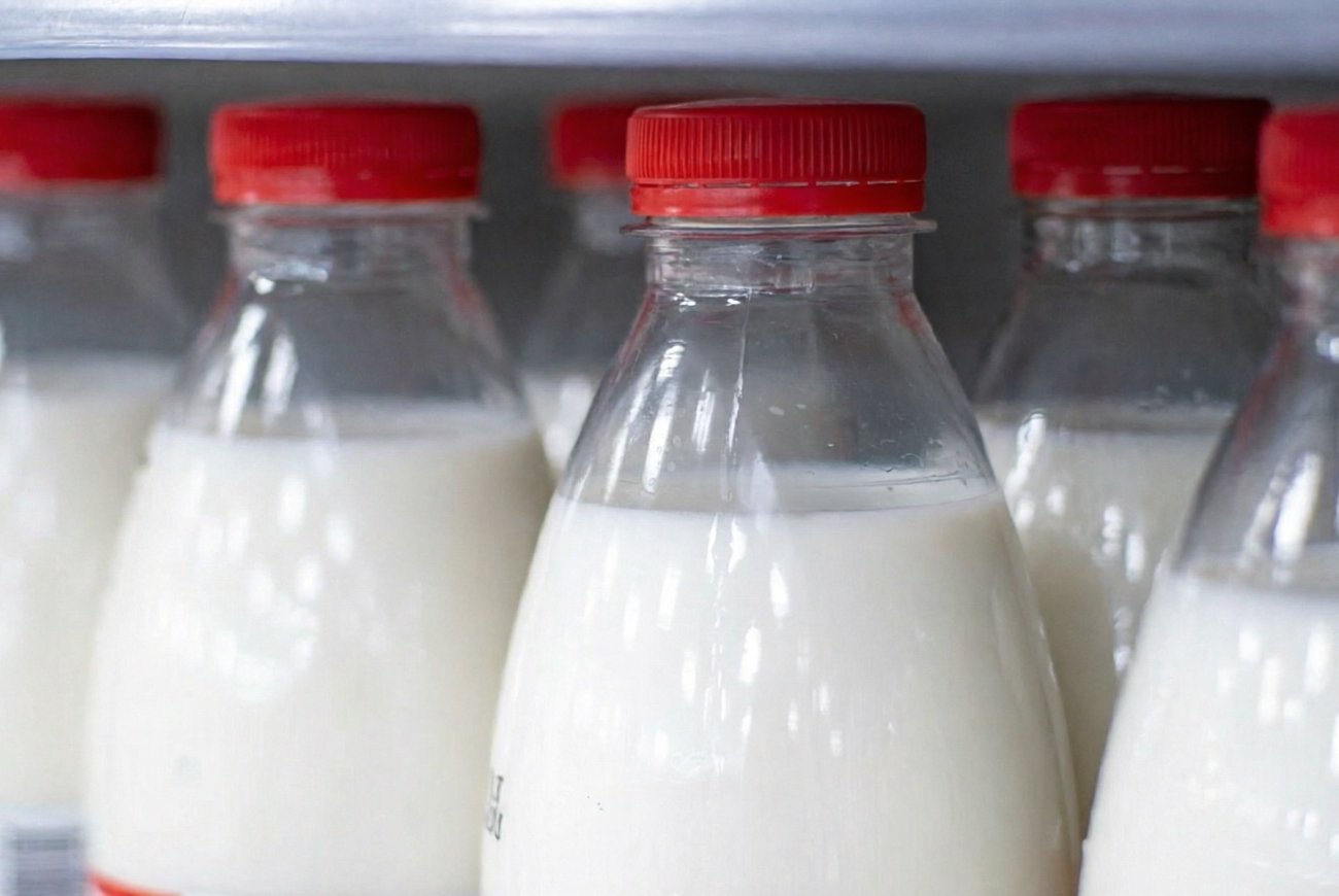 10 способов использовать просроченное молоко с пользой: ничего лишнего не пропадёт