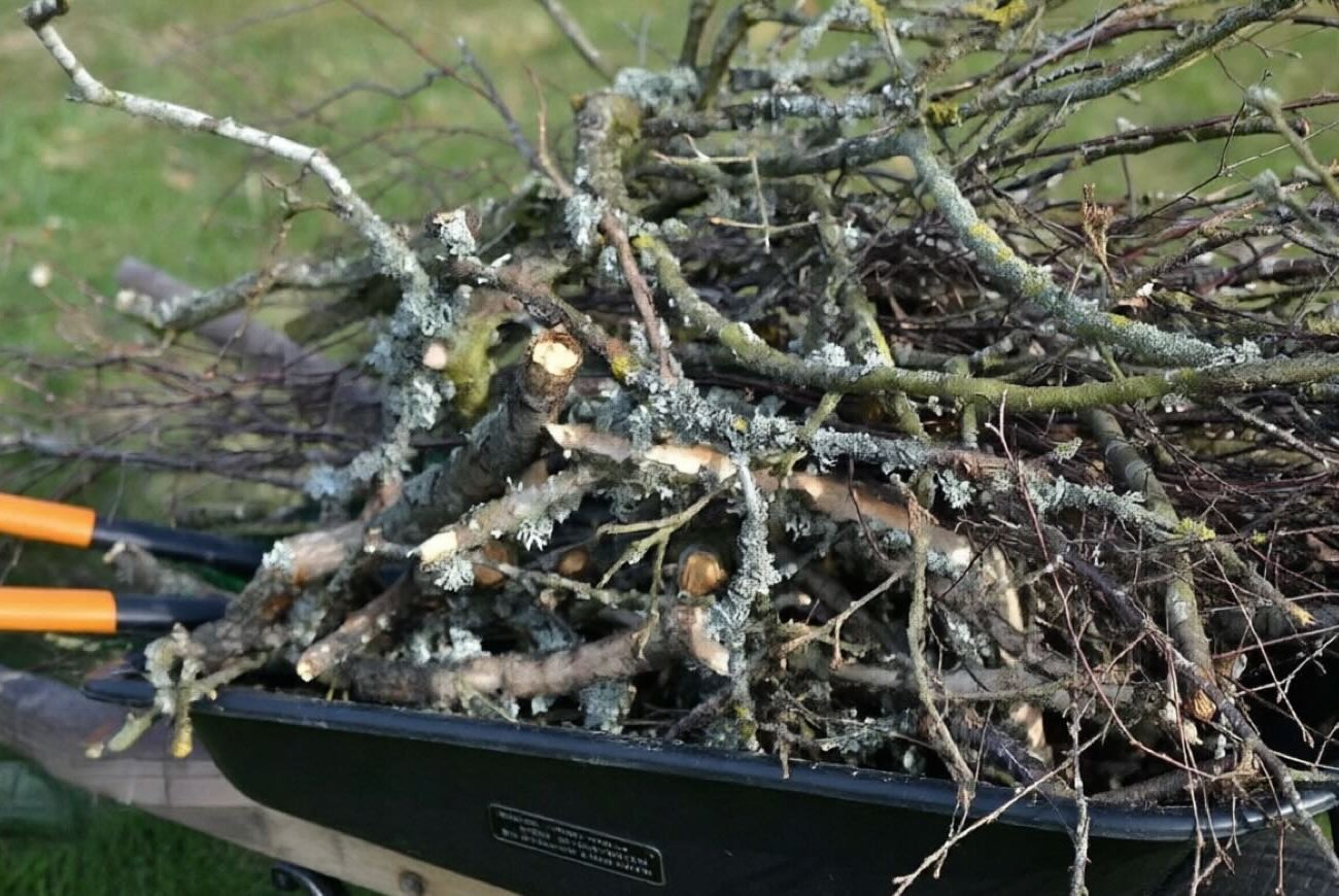 Куда деть ветки после обрезки деревьев и кустарников: креативные идеи для огородников