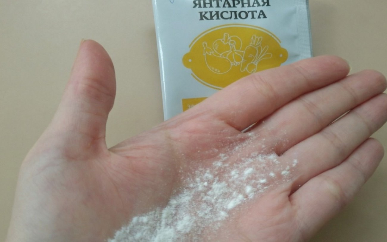 Янтарная кислота при поливе растений творит чудеса, но только если знать важные нюансы