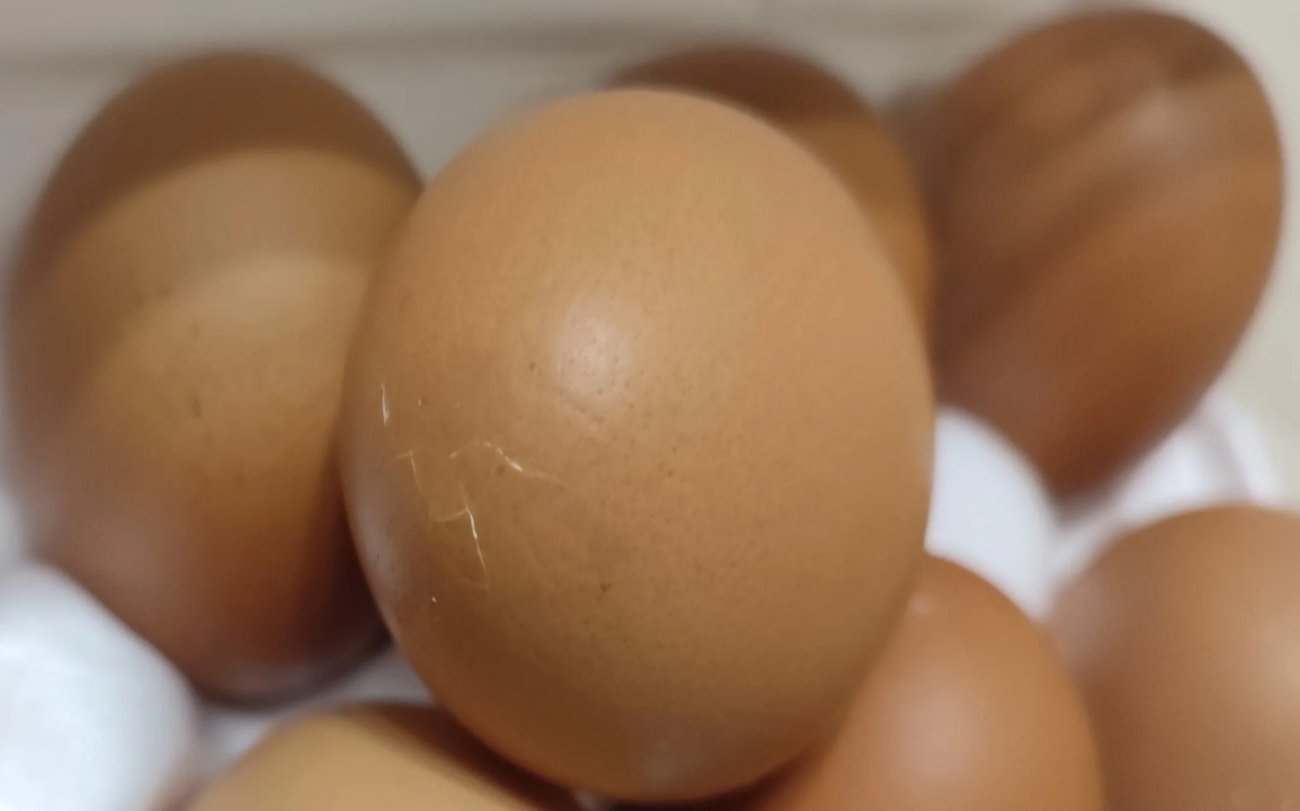 В кипяток или в холодную: простой ответ на вопрос о варке яиц