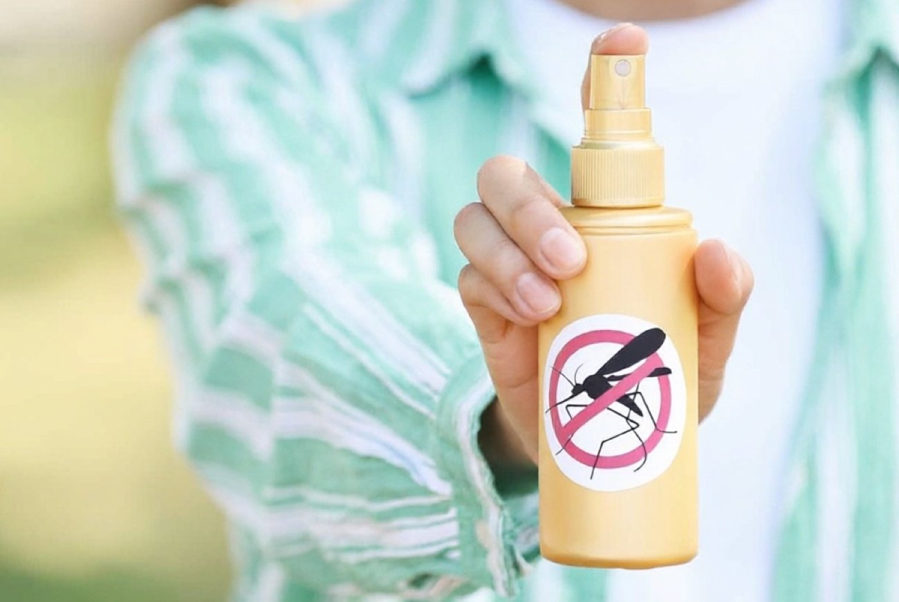 Никакой химии и дорогих средств: четыре натуральных репеллента, которые надёжно защищают дом от насекомых