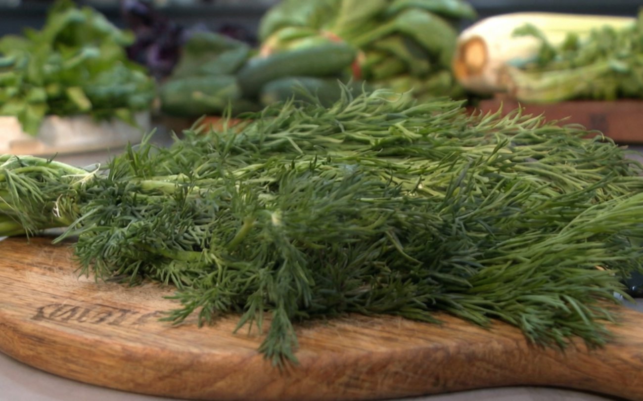 Почему зелень вянет за три дня и как это исправить: простой способ сохранить её свежей до трёх недель