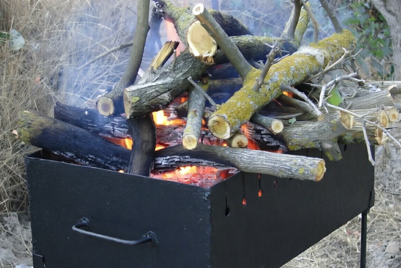 Почему шашлык на одних дровах получается вкусным, а на других портится: частые ошибки дачников