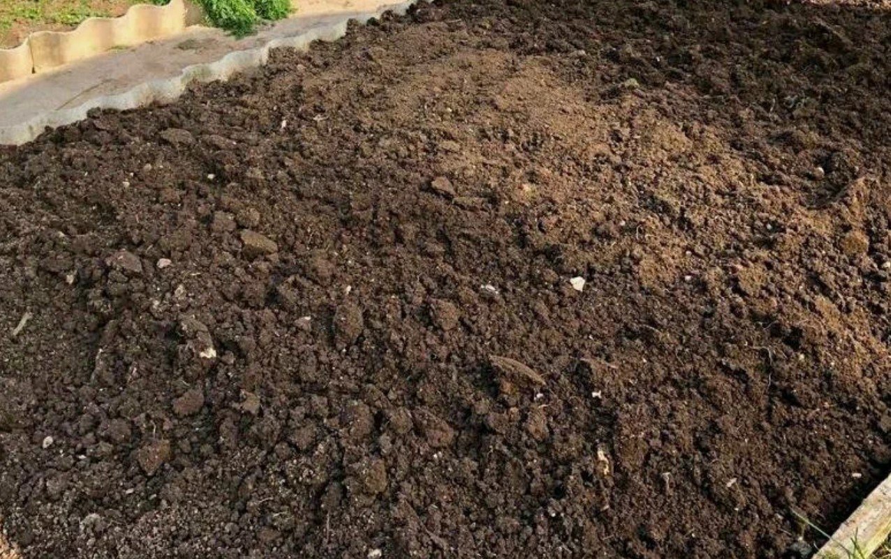 Как удобрить землю лучше навоза и без запаха: всего 4 ложки этого средства быстро восстановят почву