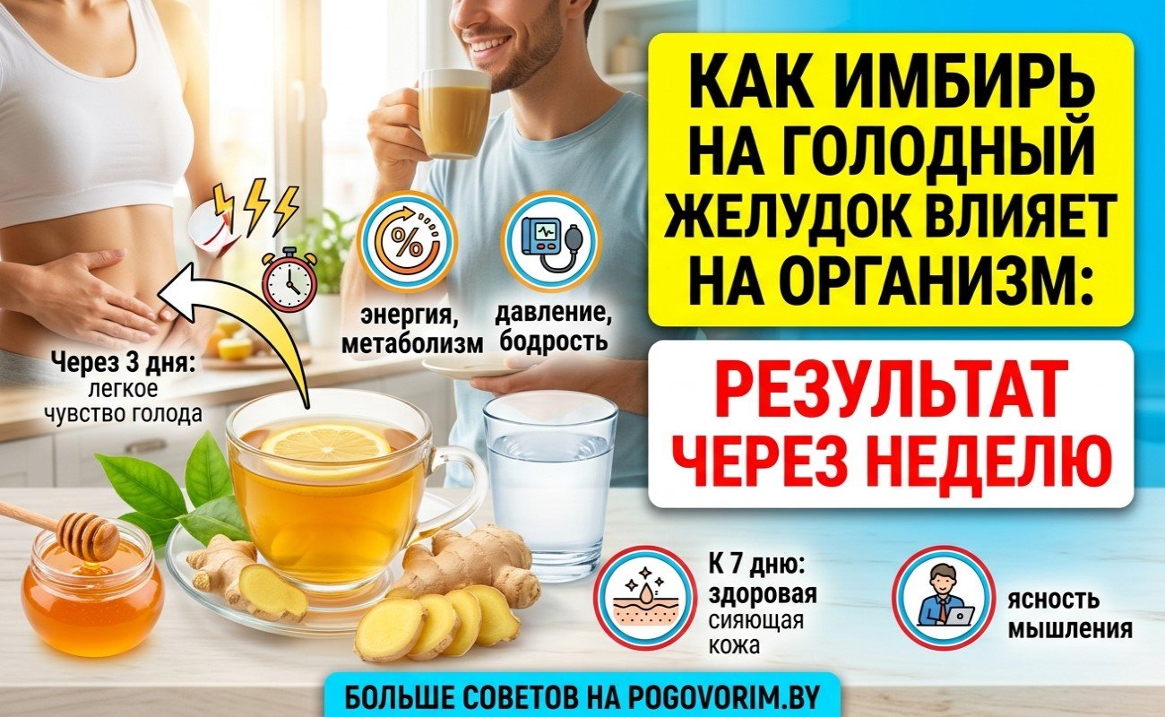 Как имбирь на голодный желудок влияет на организм: результат через неделю