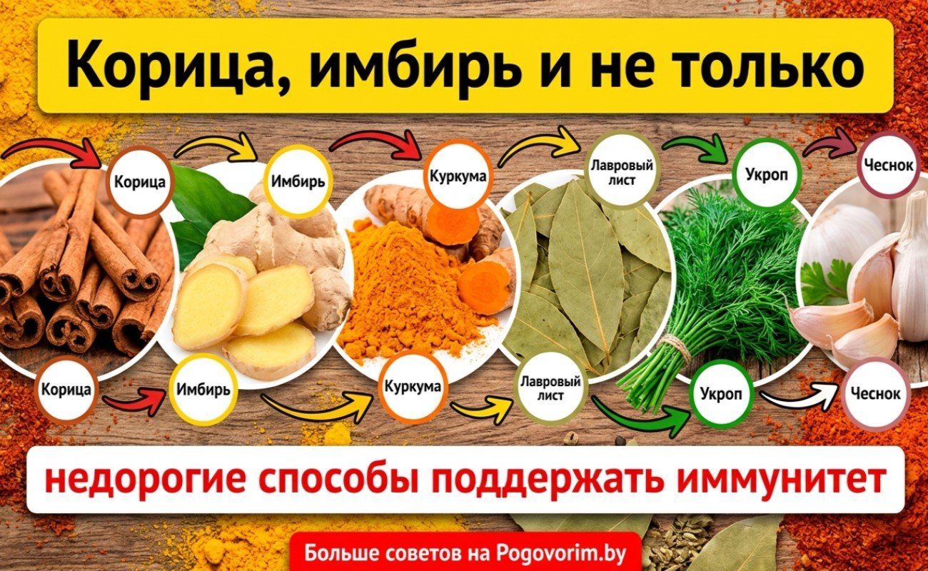 Корица, имбирь и не только: недорогие способы поддержать иммунитет