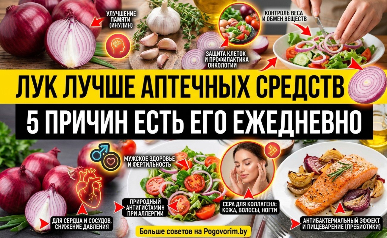 Лук лучше аптечных средств: 5 причин есть его ежедневно