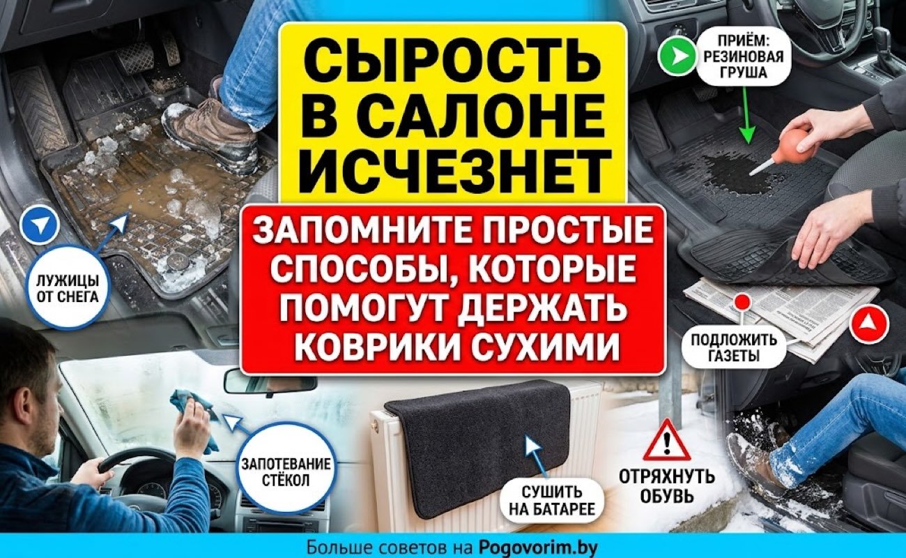 Сырость в салоне исчезнет: запомните простые способы, которые помогут держать коврики сухими