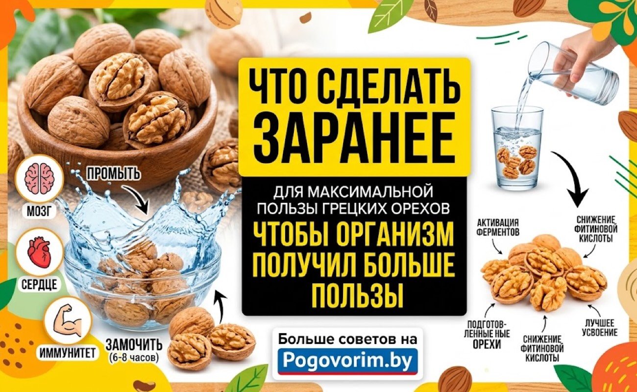 Как есть грецкие орехи правильно: что сделать заранее, чтобы организм получил больше пользы