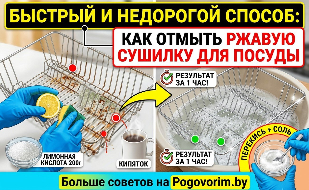 Как отмыть ржавую сушилку для посуды без лишних усилий: быстрый и недорогой способ